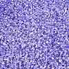 6/0 Baking Paint Transparent Fringe Glass Seed Beads X1-SEED-N006-06I-3