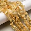 Gemstone Beads Strands X-F044-6