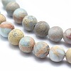 Natural Aqua Terra Jasper Beads Strands G-N0128-48F-6mm-3