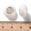 Opaque Brass Cores Acrylic European Beads OACR-M024-03S-13-3