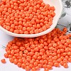 6/0 Opaque Baking Paint Glass Seed Beads SEED-M012-02A-05-1