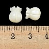 Natural Trochid Shell/Trochus Beads BSHE-NH0001-01-3