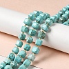 Natural Howlite Beads Strands G-C025-14-2