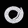 Natural Freshwater Shell Beads Strands SHEL-N003-33-B01-2