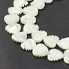 Natural Trochid Shell/Trochus Shell Beads SSHEL-K027-16-3