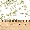 Electroplate Glass Seed Beads SEED-S042-01B-09-4