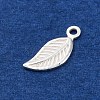 925 Sterling Silver Charms STER-D301-04S-04-2