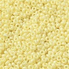 Baking Paint Glass Seed Beads SEED-P006-03A-15-3