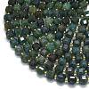 Natural Moss Agate Beads Strands G-K389-A50-01-3