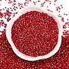 Baking Paint Silver Lined Glass Seed Beads SEED-H003-09C-3