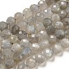 Natural Labradorite Beads Strands G-G140-A21-09A-1