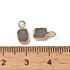 Natural Labradorite Rectangle Charms G-Q169-07G-11-3