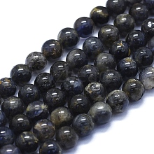 Natural Iolite Beads Strands G-E561-16-8mm