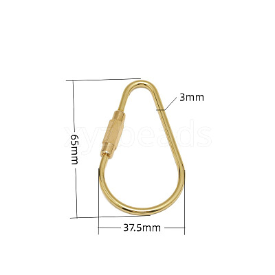 Brass Screw Carabiner Lock Charms KK-ZX025-65C-1