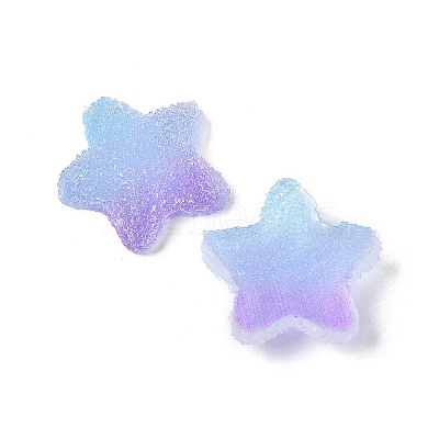 Imitation Candy Food Style Resin Cabochons RESI-R461-02N-1