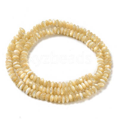 Natural Trochus Shell Beads Strands SHEL-K006-25B-1