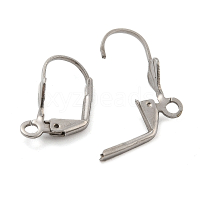 Non-Tarnish 304 Stainless Steel Leverback Earring Findings STAS-P360-02A-P-1
