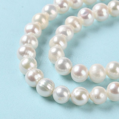 Natural Cultured Freshwater Pearl Beads Strands PEAR-E018-73-1