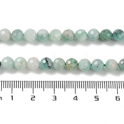 Natural Emerald Beads Strands G-P514-A06-04-1