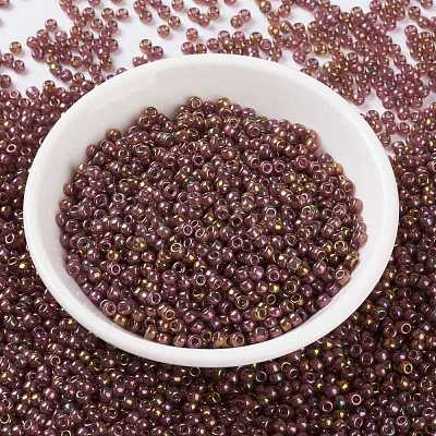 MIYUKI Round Rocailles Beads SEED-X0055-RR0301-1