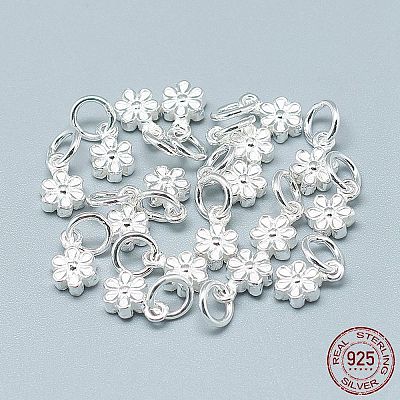 925 Sterling Silver Charms STER-T002-104S-1