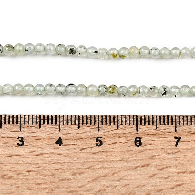 Natural Prehnite Beads Strands G-RM250104-A9-1