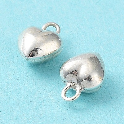 925 Sterling Silver Charms STER-H106-01C-S-1