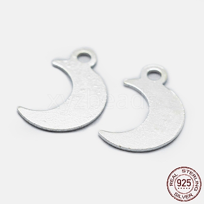 925 Sterling Silver Charms STER-I014-19S-1