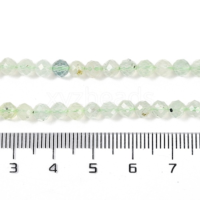 Natural Prehnite Beads Strands LS-G-G139-A05-03-1