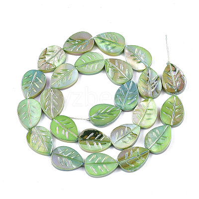 Freshwater Shell Beads Strands X-SHEL-S274-61B-1