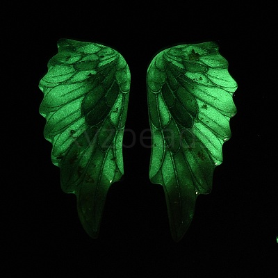 Luminous Transparent Epoxy Resin Pendants RE-CBAE738-02B-1