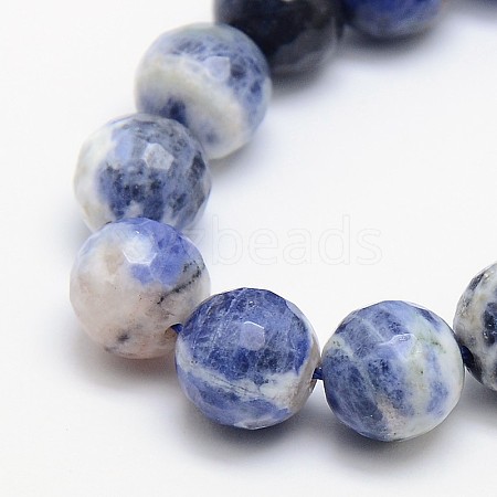 Natural Sodalite Beads Strands G-L149-12mm-01-1