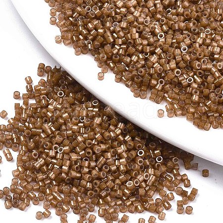 FGB 11/0 Grade A Baking Paint Glass Seed Beads X-SEED-S030-1146-1