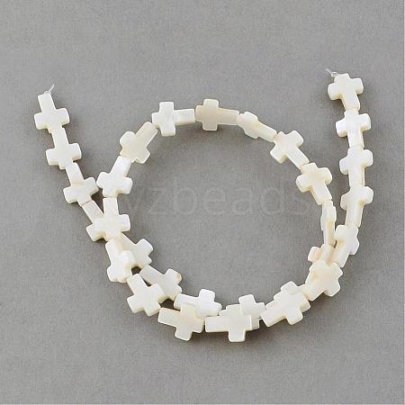 Natural Sea Shell Beads Strands SSHEL-Q296-34-1