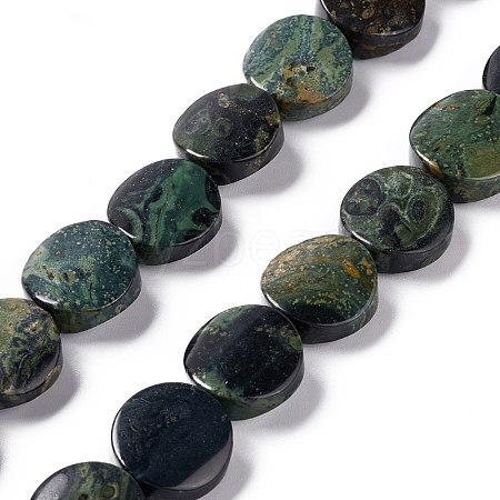 Natural Kambaba Jasper Beads Strands G-O120-16-1