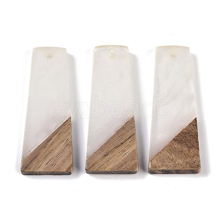 Resin & Wood Pendants WOOD-F015-04D-1