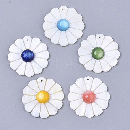 Natural Freshwater Shell Pendants SHEL-S276-71-1