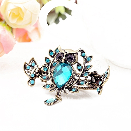 Alloy Rhinestone Claw Hair Clips PW-WG1CC66-03-1