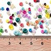 Glass Seed Beads SEED-XCP0001-21-4