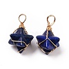 Natural Lapis Lazuli Dyed Copper Wire Wrapped Pendants G-B041-02G-13-2