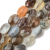 Natural Botswana Agate Beads Strands G-H004-B02-03-2