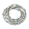 Electroplated Opaque Glass Beads Strands EGLA-L015-FR-B19-01-3