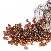TOHO 11/0 Round Beads X-SEED-TR11-0421-1