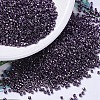 MIYUKI Delica Beads SEED-MY11-DB0455-1