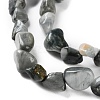 Natural Eagle Eye Stone Beads Strands G-P497-01C-52-4