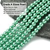 Eco-Friendly Dyed Glass Pearl Beads Strands HY-A008-6mm-RB014-3