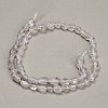 Natural Biotite Beads Strands GG-CBAC61B-B02-02-B-4