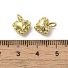 Rack Plating Brass Micro Pave Clear Cubic Zirconia Charms KK-G487-02G-3