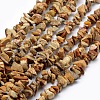 Natural Picture Jasper Beads Strands G-P332-19-1