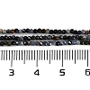 Natural Sapphire Beads Strands G-P553-G07-01-5